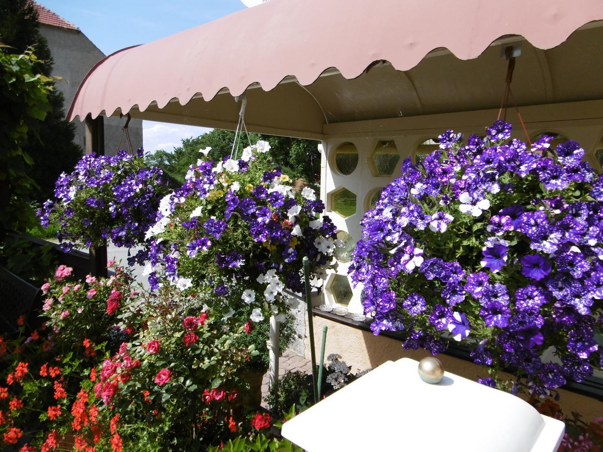 Hotel & Pension Assmann Hochkirch Exterior photo